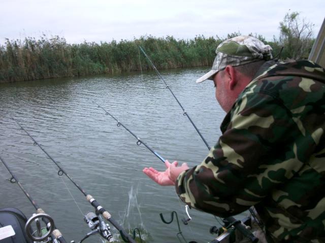 delta rosu 2012 - 539456.jpg